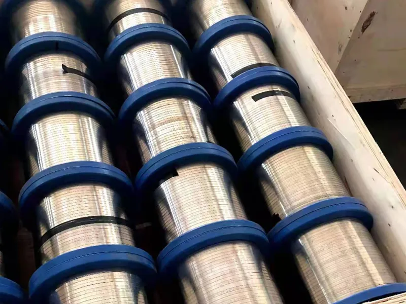 Stainless Steel Strip