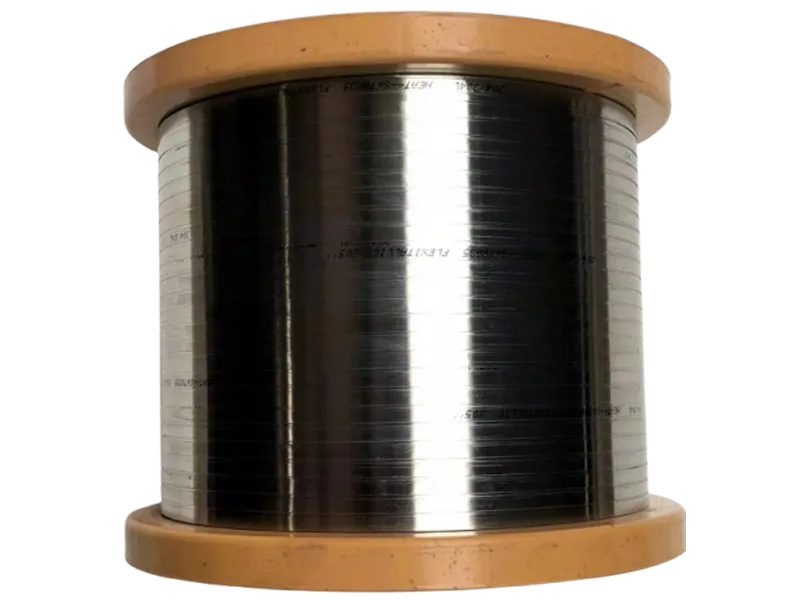 Stainless Steel Strip