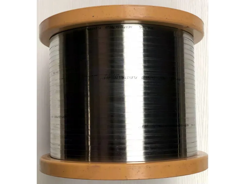 Stainless Steel Strip