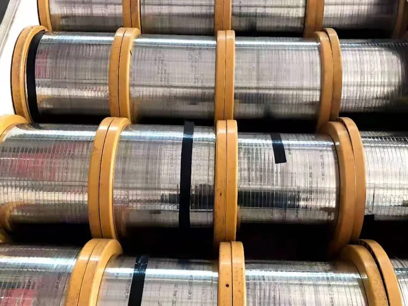 Stainless Steel Strip